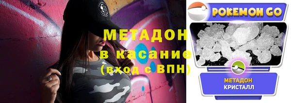 индика Кострома