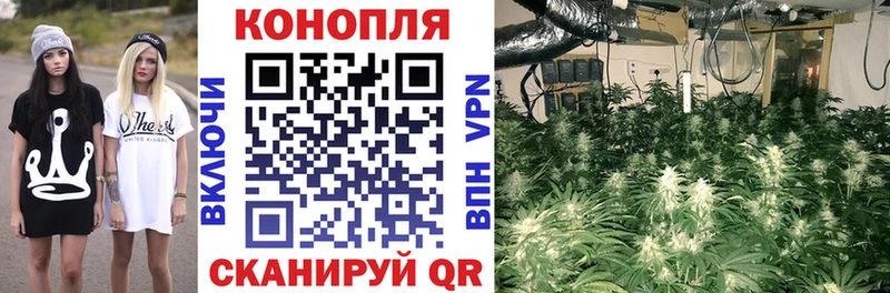 Бошки марихуана Bruce Banner Жердевка